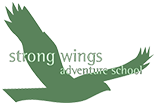 Strong Wings Adventure School, Footer Logo