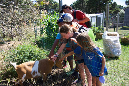 Children Petting A Goat